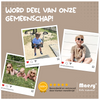 Noah 0 t/m 2 jaar